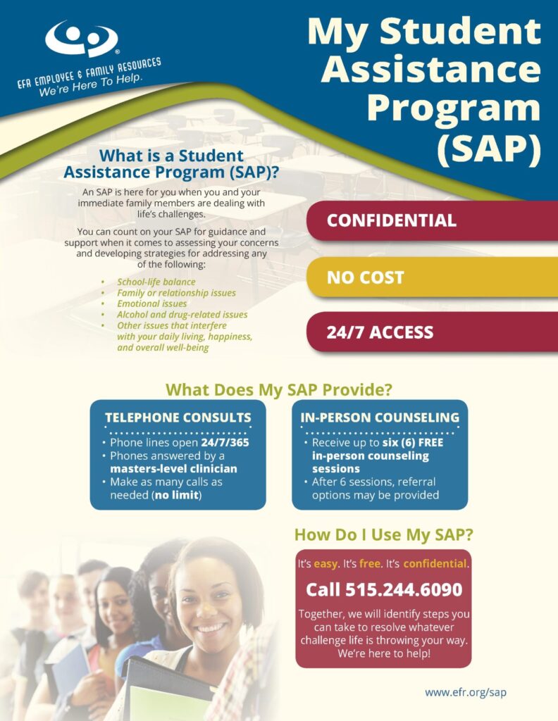 SAP Flyer 6